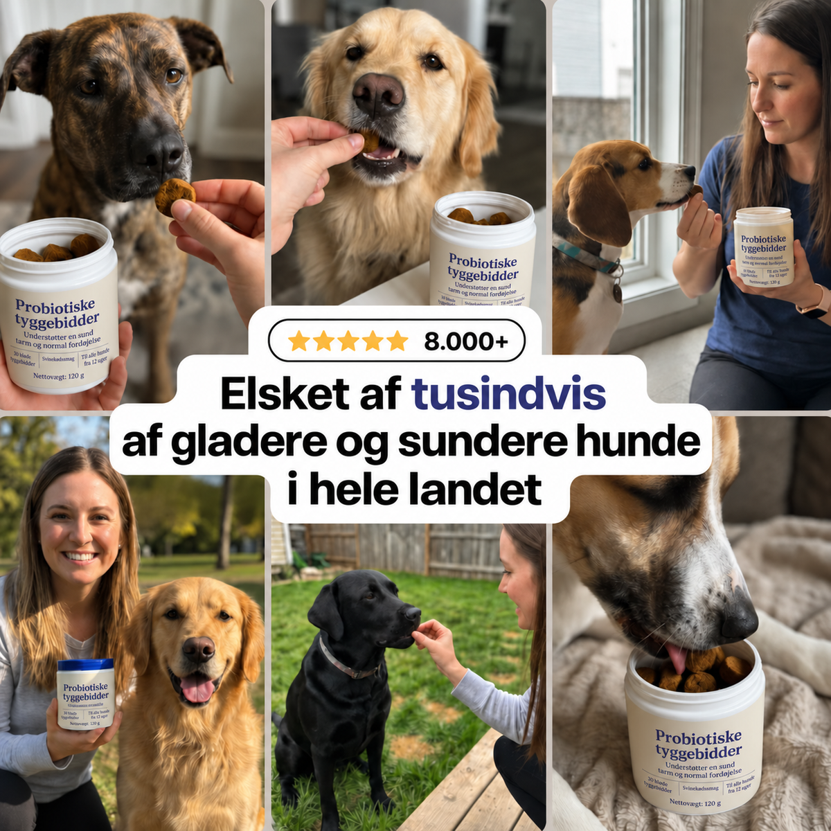 Daglig probiotisk tyggeben – til tarm- og fordøjelsessundhed