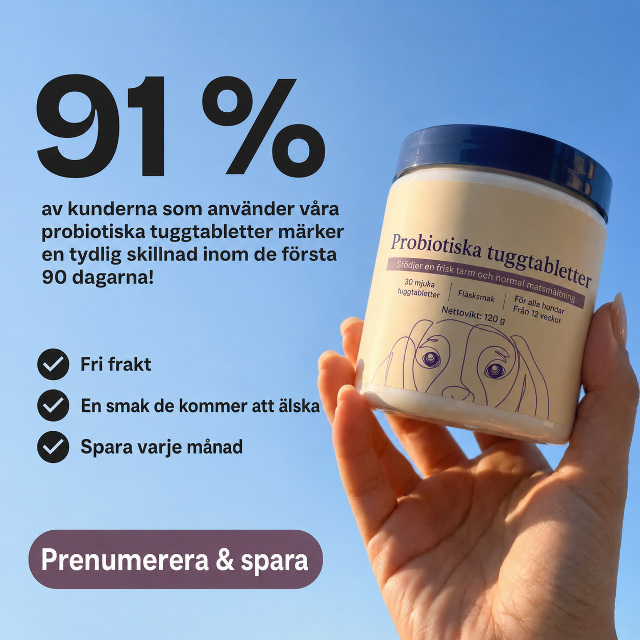 Dagligt Probiotisk Tyggestang – Til Tarm- og Fordøjelsessundhed