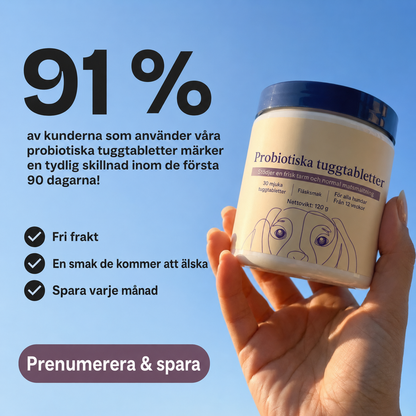 Dagligt Probiotisk Tyggestang – Til Tarm- og Fordøjelsessundhed