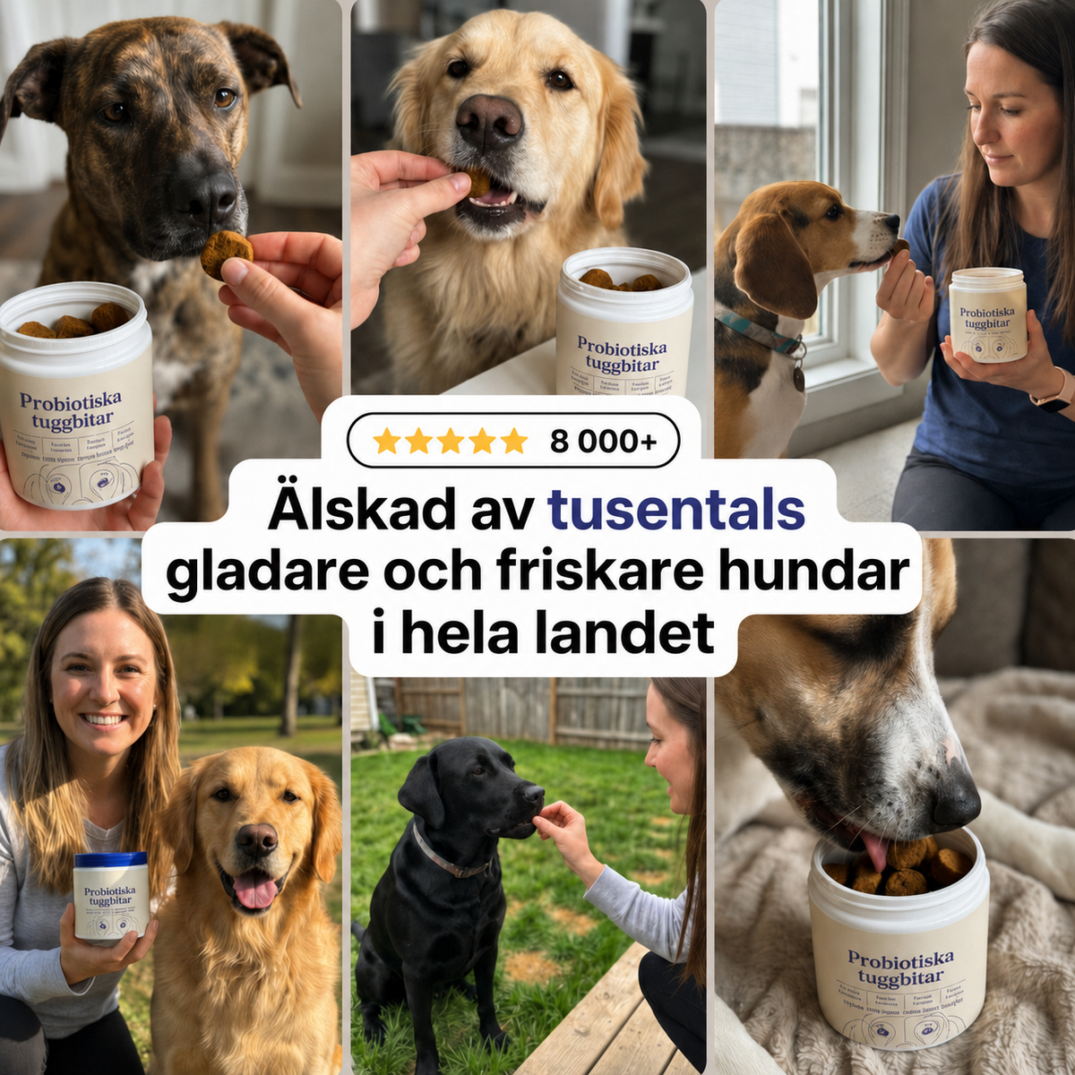 Dagligt Probiotisk Tyggestang – Til Tarm- og Fordøjelsessundhed